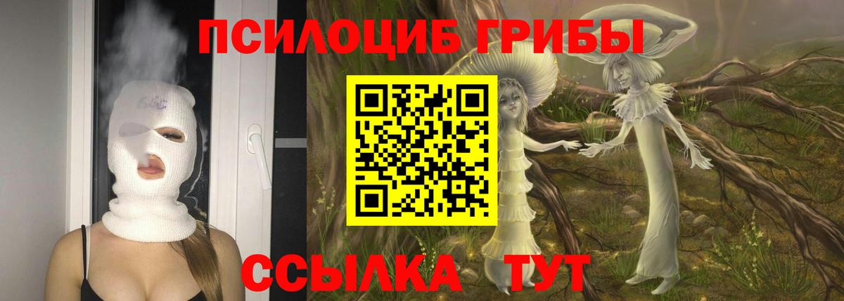 Россия  Галлюциногенные грибы мицелий  Вход с VPN  Галлюциногенные грибы Psilocybe 
